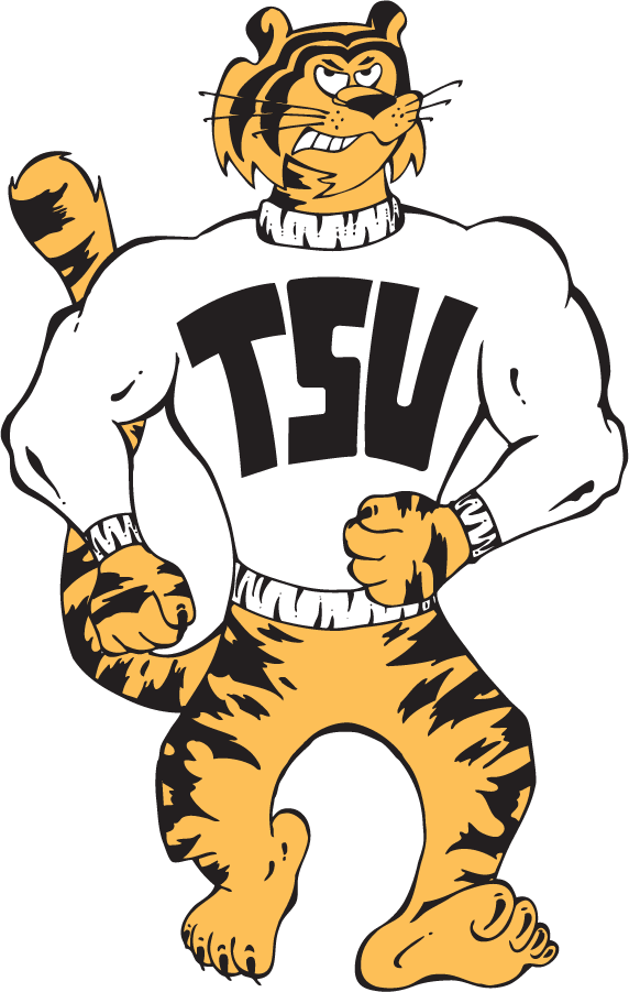 Towson Tigers 1985-1995 Primary Logo diy iron on heat transfer
